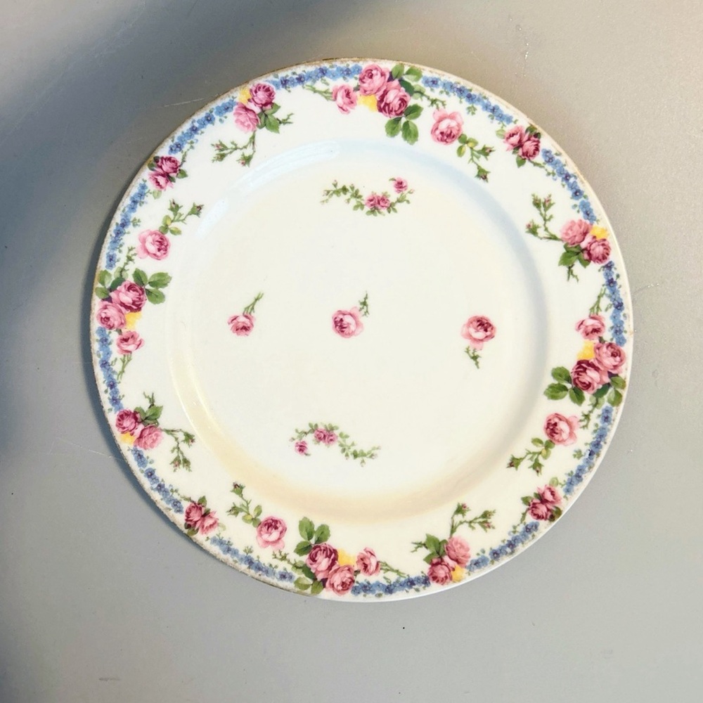Floral Porcelain Dinner Plate Limoges